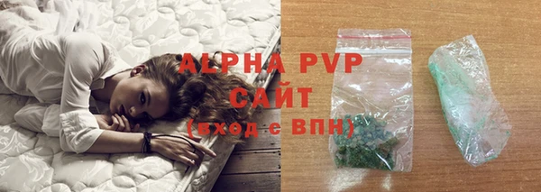 индика Бугульма